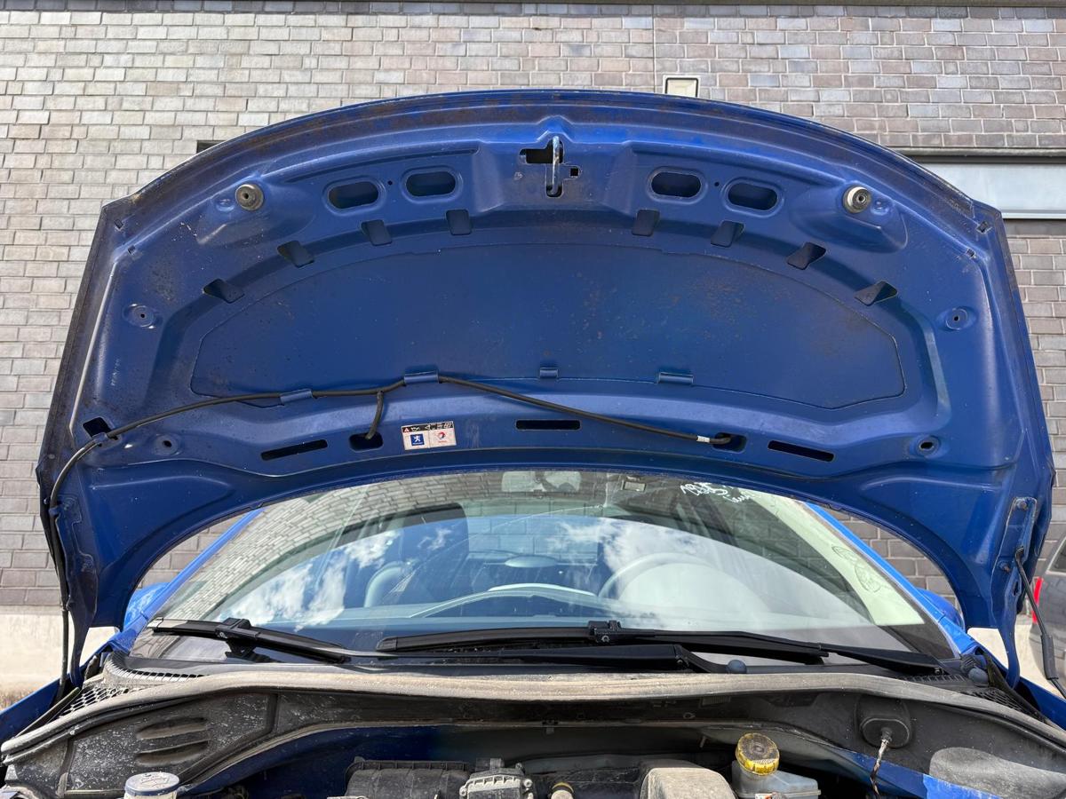 Peugeot 207 original Motorhaube EGJ Blau Santorin BJ07